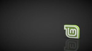 The Great Success of Linux Mint Developers